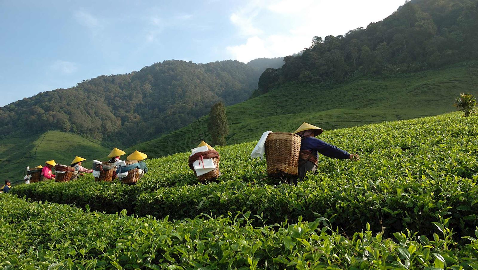 從臺北茶路孵化社會企業